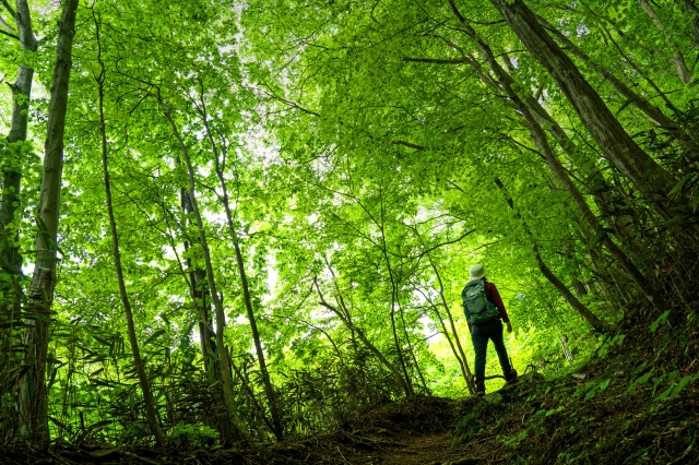 山行のイメージの写真